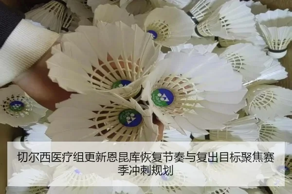 切尔西医疗组更新恩昆库恢复节奏与复出目标聚焦赛季冲刺规划